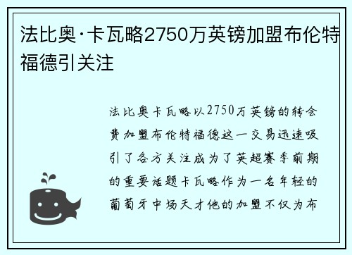 法比奥·卡瓦略2750万英镑加盟布伦特福德引关注